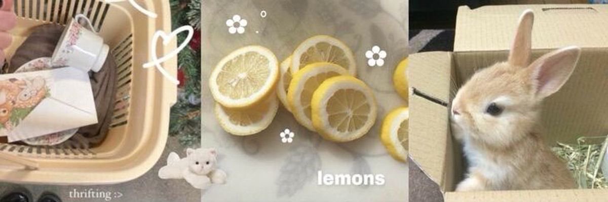 ᴸⁱⁱᶻᵉᵈᵈ ᴹ ♛ banner