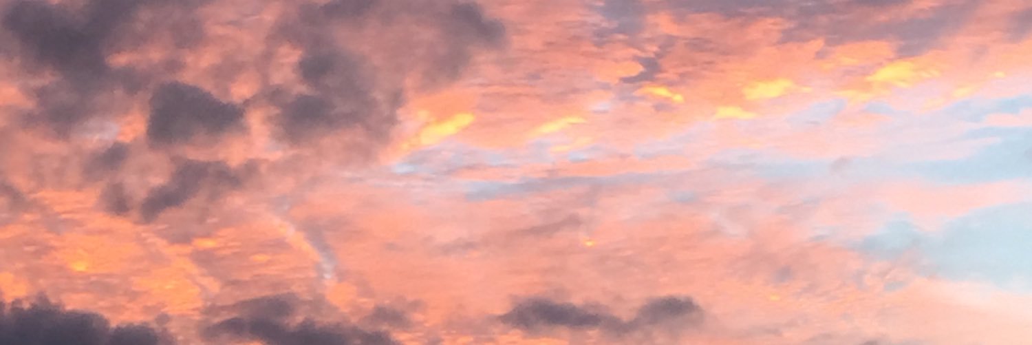 Erlz10's profile banner image