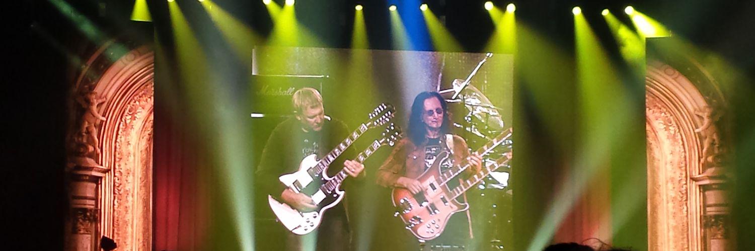 Captain Dandelion banner