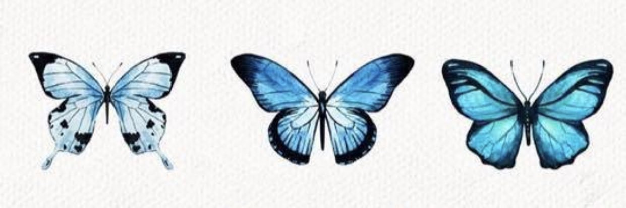 Nora_Stultz's profile banner image