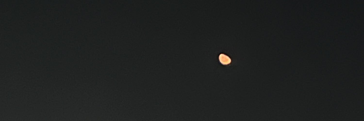 fridacardenasc's profile banner image