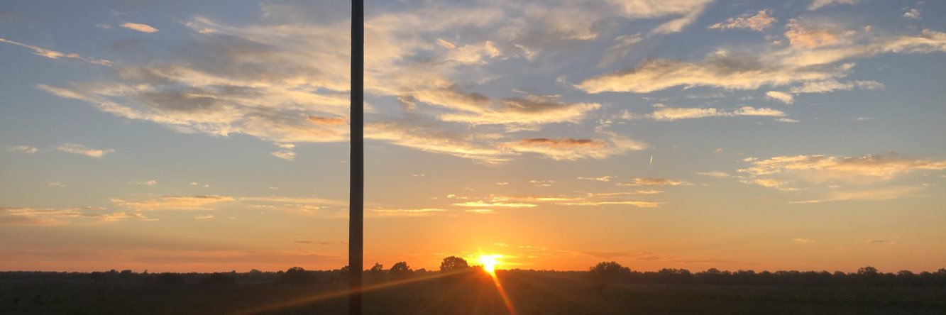 evangelinetudor's profile banner image