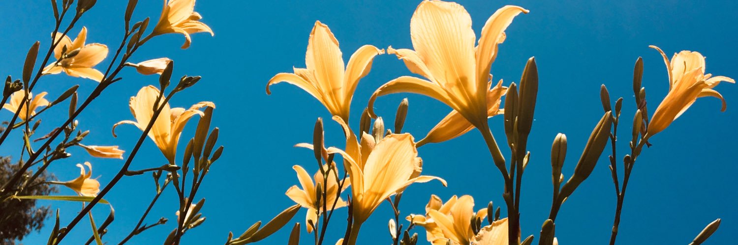 martubello's profile banner image