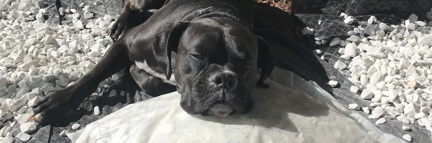 BostonTassi's profile banner image