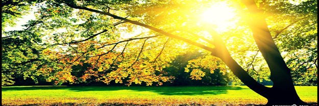 MaryManzoni's profile banner image