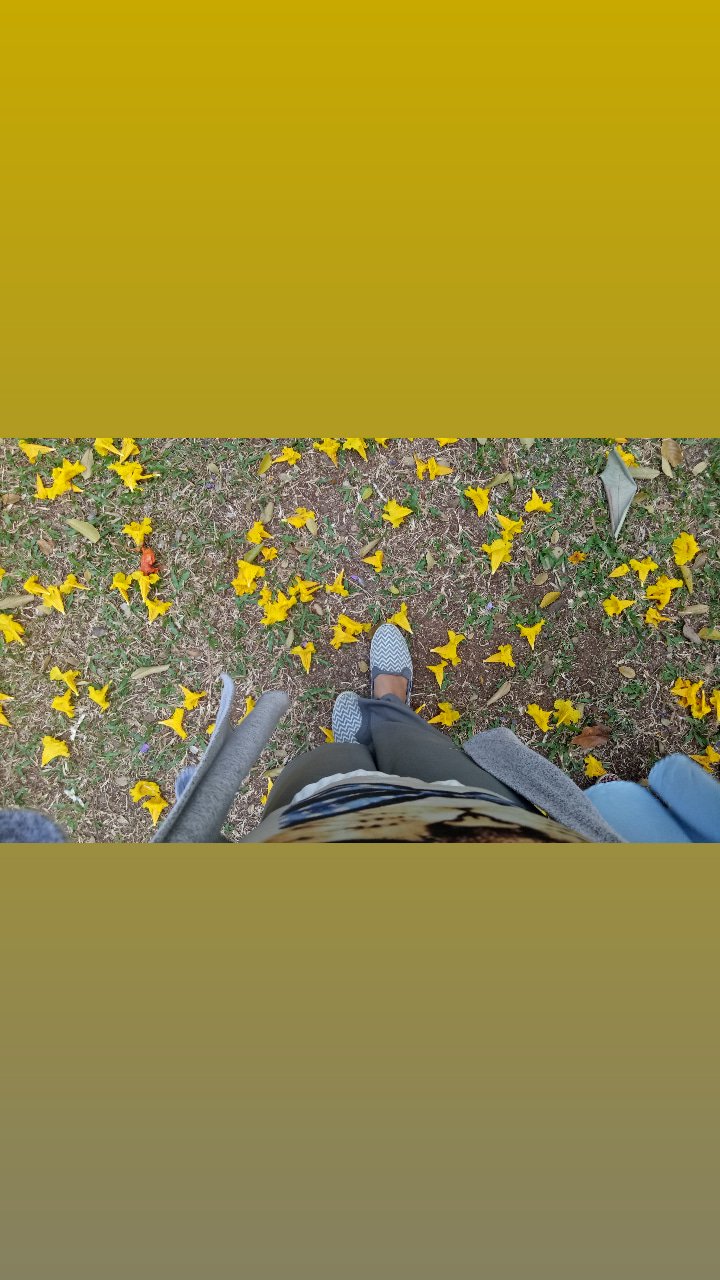Stefarm_'s profile banner image