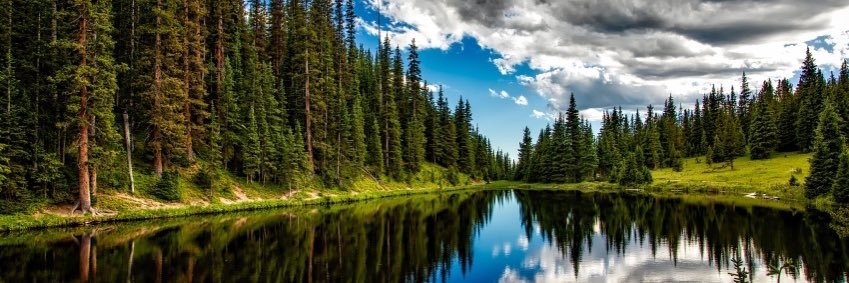 Neri Williams banner