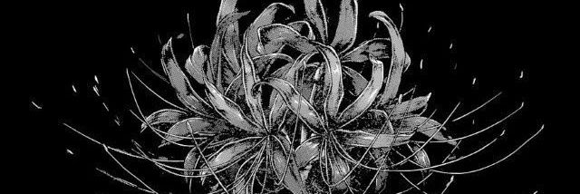 Ruined_Ruon's profile banner image