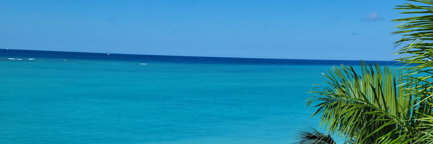 🇨🇦🇭🇹 banner