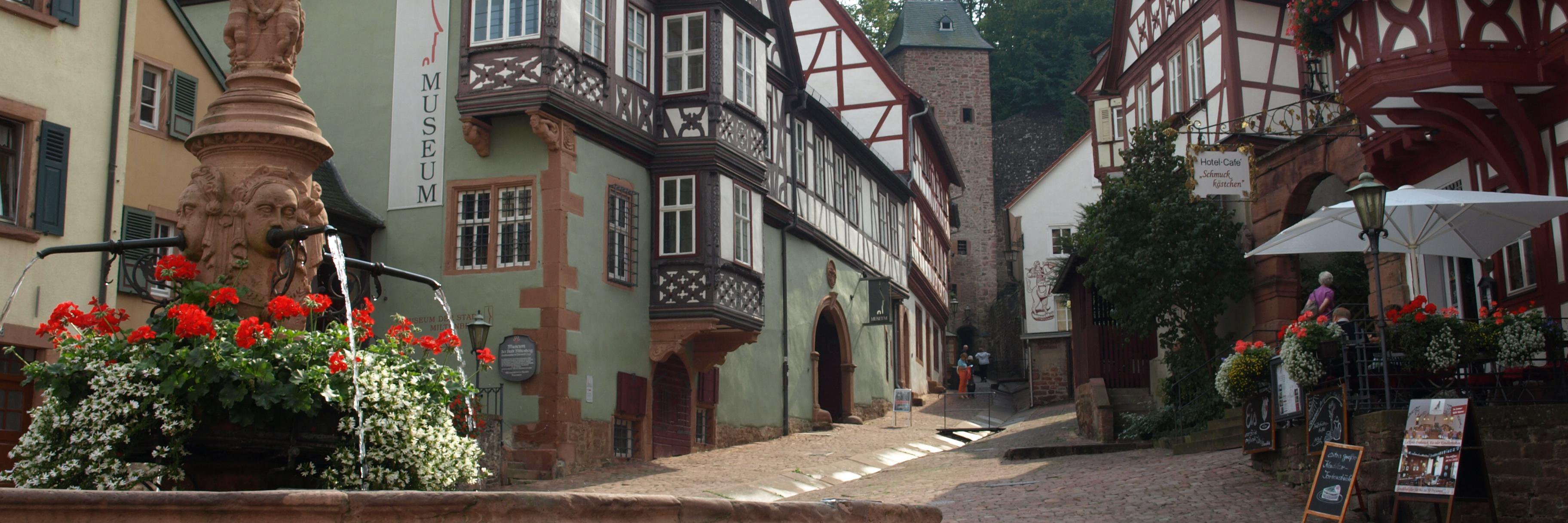 Miltenberg1225's profile banner image