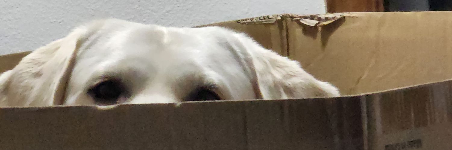Fastlifast's profile banner image