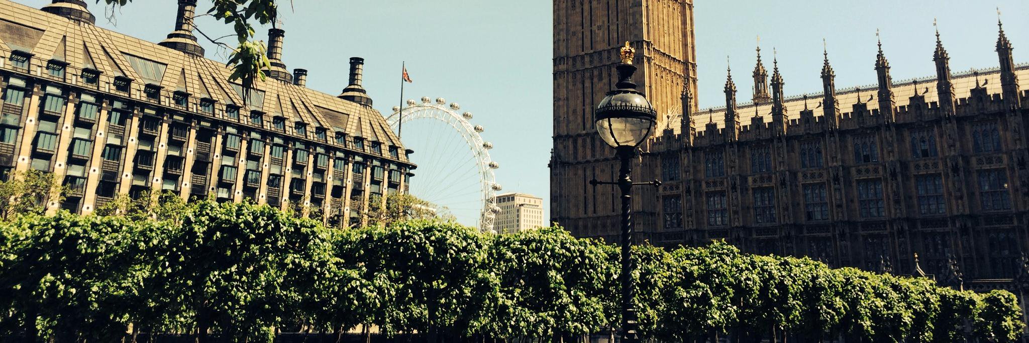 The Westminster Commission on Autism banner