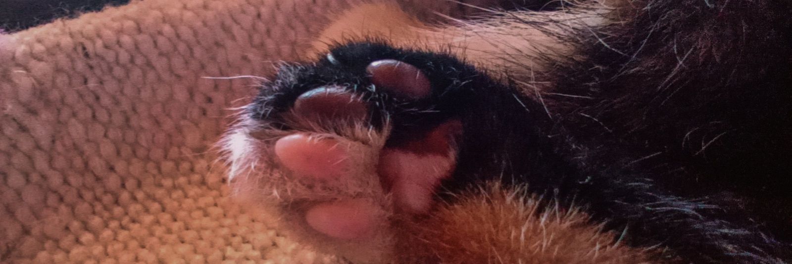 ASandovalM_'s profile banner image