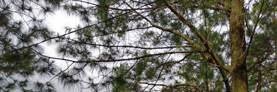 coretankehdpn's profile banner image