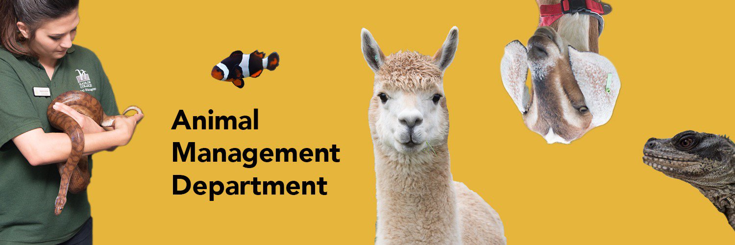 Hadlow_Animal's profile banner image