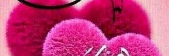almalkeh2017's profile banner image