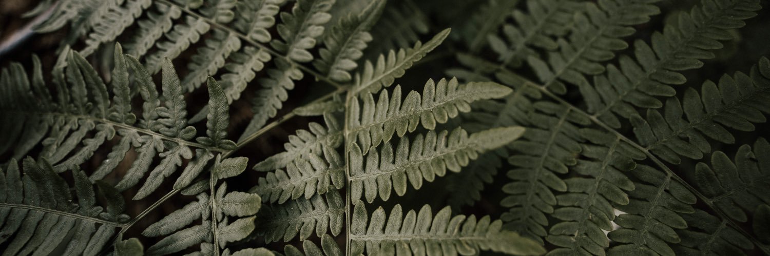 alanlopezlv's profile banner image