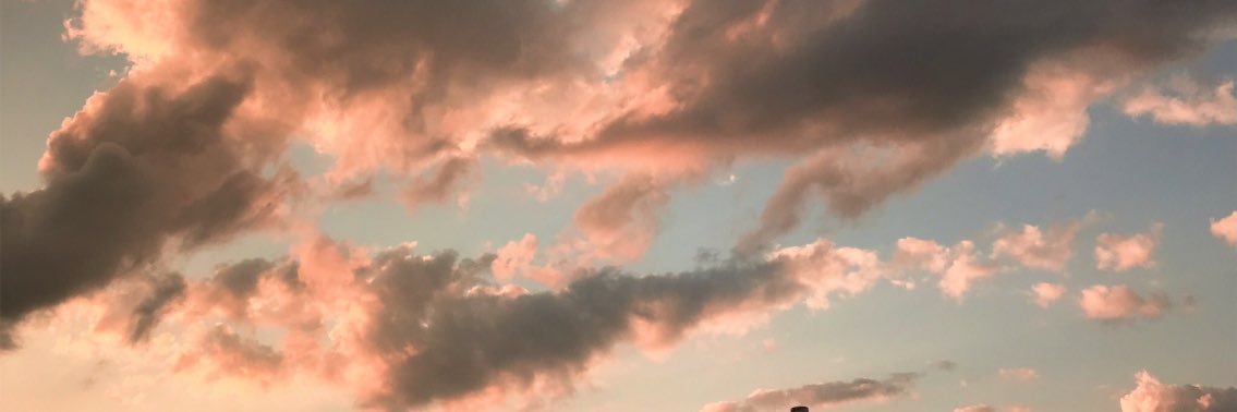 meowkela's profile banner image