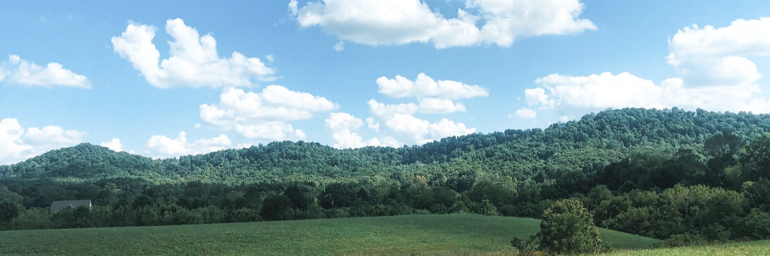 BradshawAnthony's profile banner image