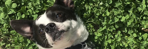 sims_victor Profile Banner