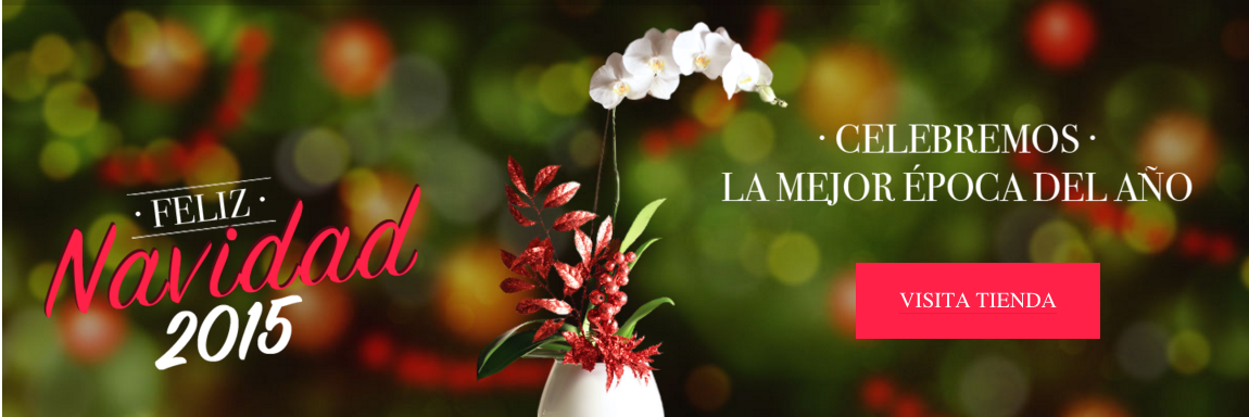 MandaRosas's profile banner image