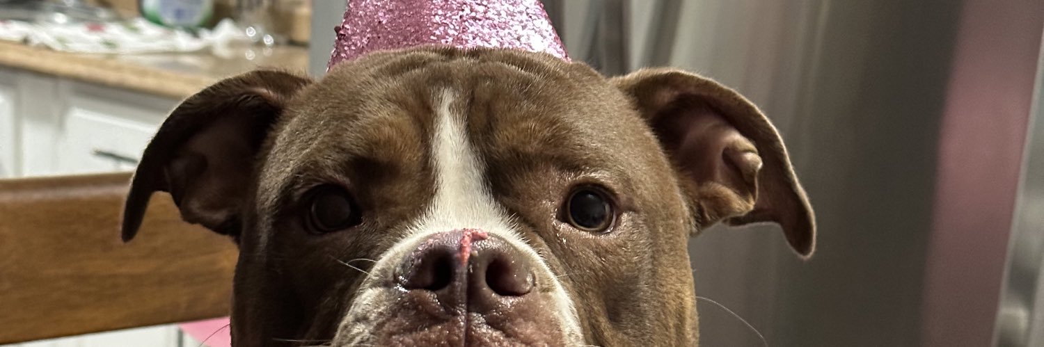 lilarrig's profile banner image