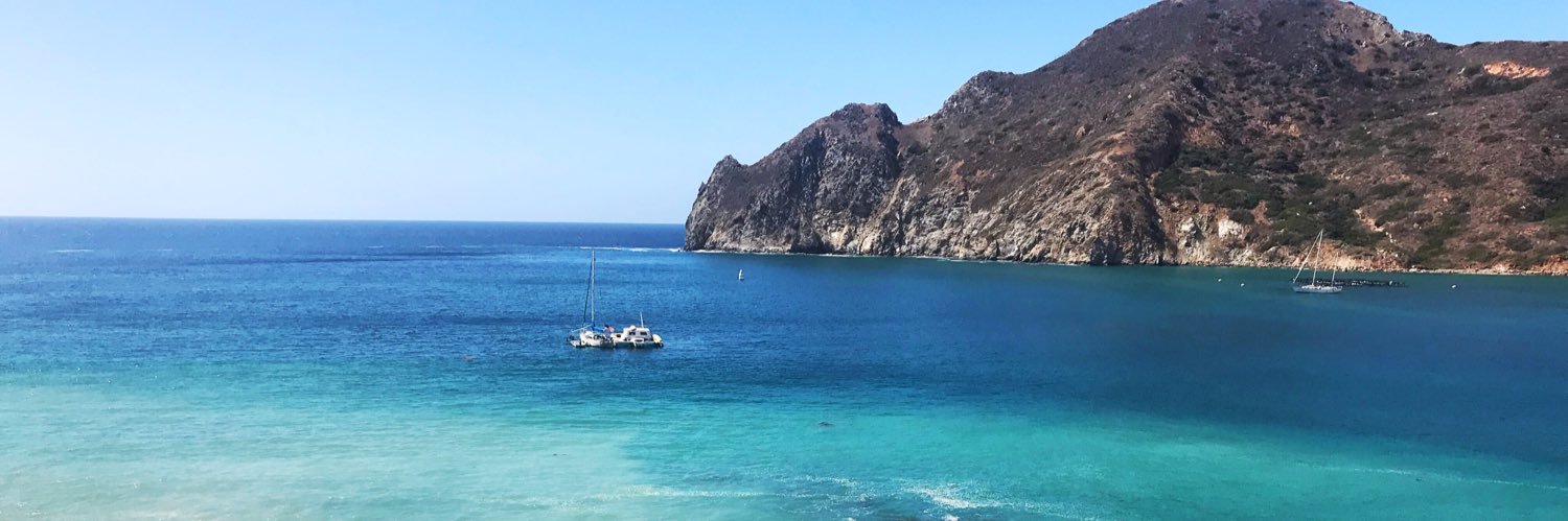 Natasha Benjamin banner