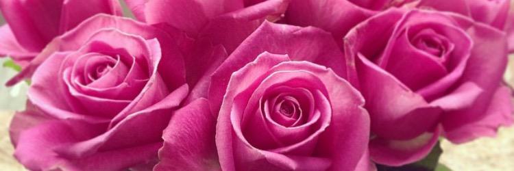robynknowles's profile banner image