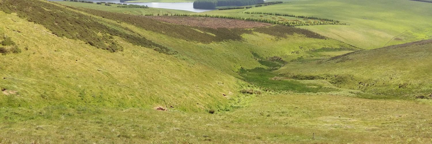 colindavison62's profile banner image