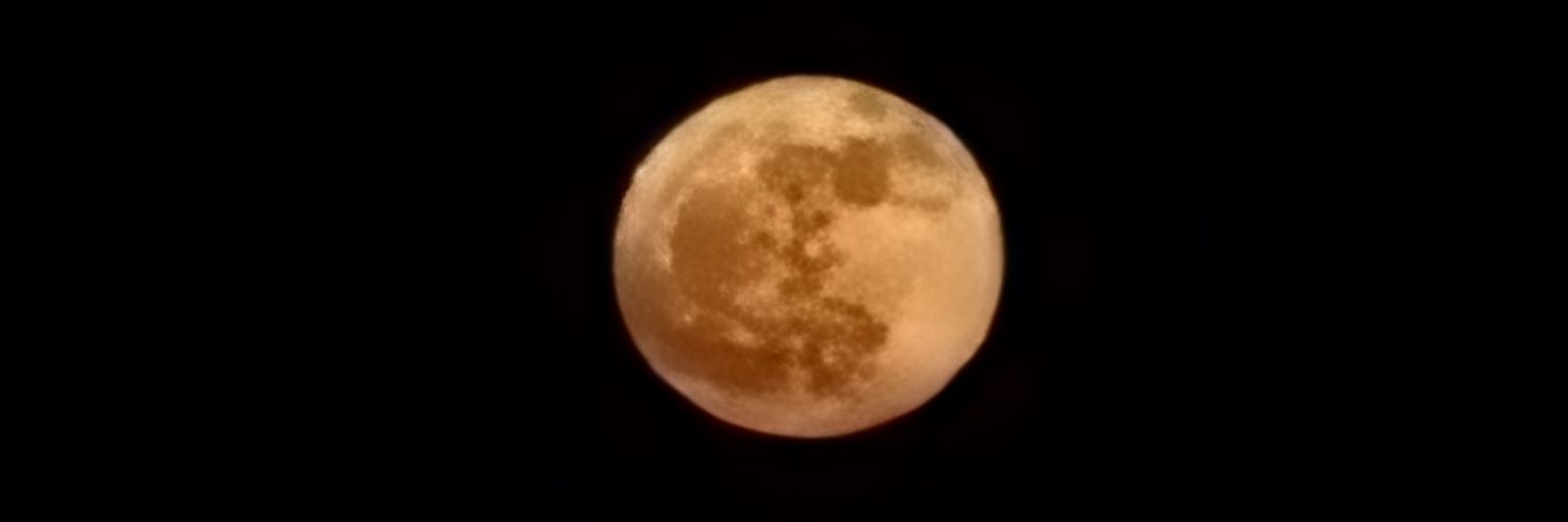 FulvousCrown's profile banner image