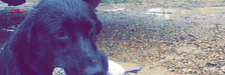 beejjp's profile banner image