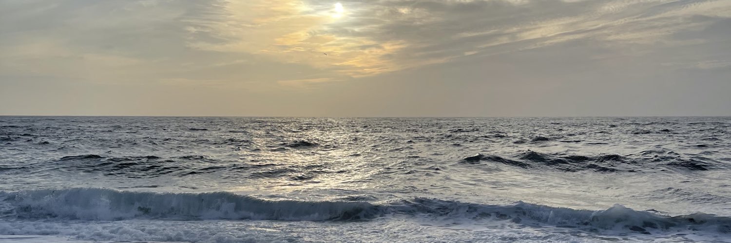 DominikaWalsh's profile banner image