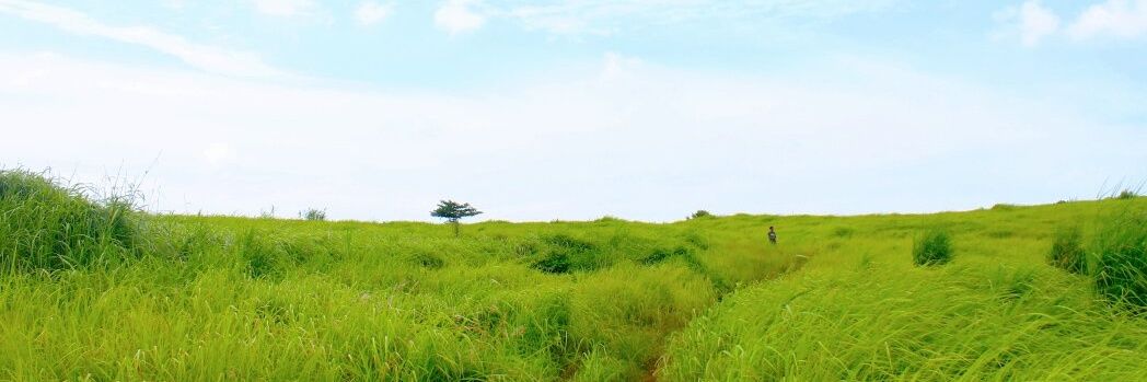 FAbrorudin's profile banner image