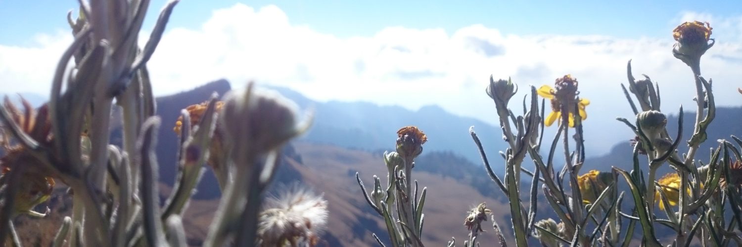 Freeman_outdoor's profile banner image