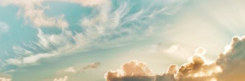 lissa banner