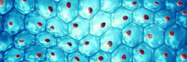BioinspBiomim Profile Banner