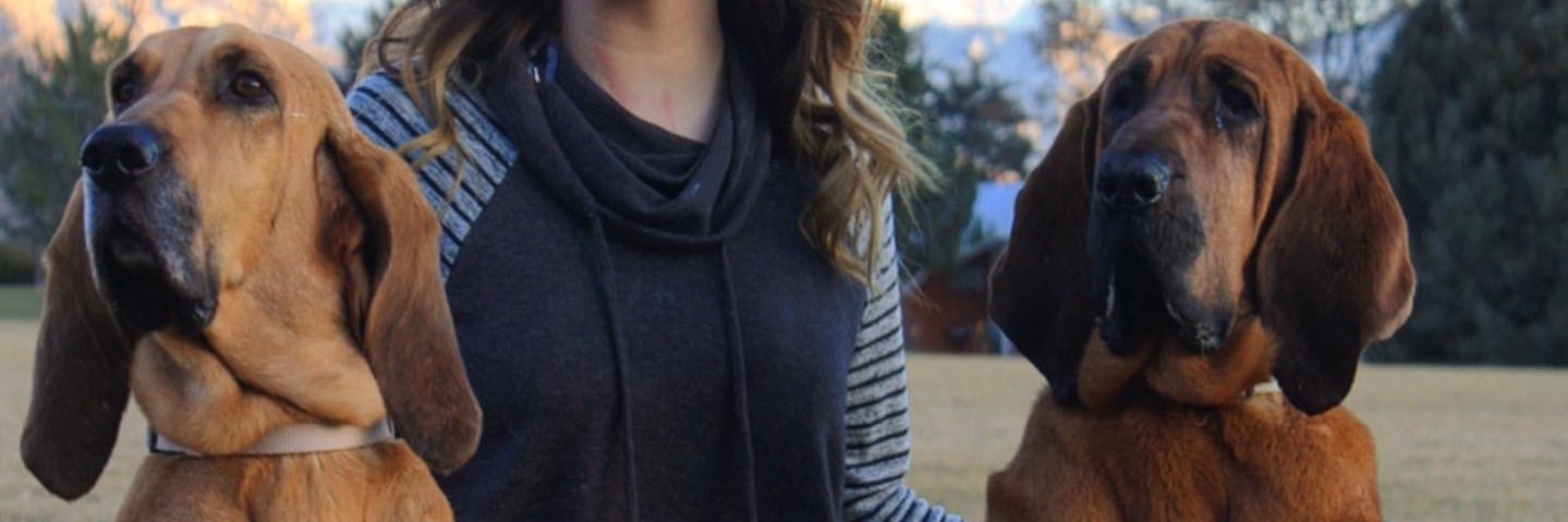 SmithLaine's profile banner image