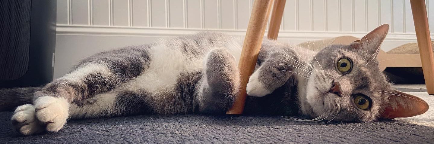 Don Bernier, ACE banner