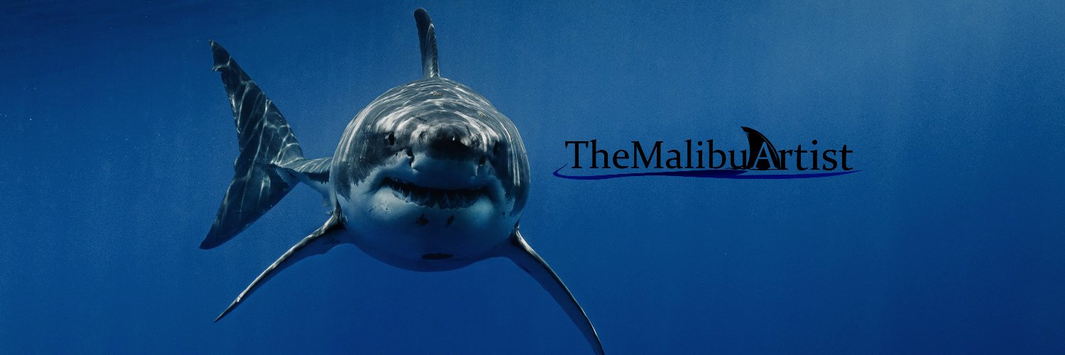 TheMalibuArtist's profile banner image