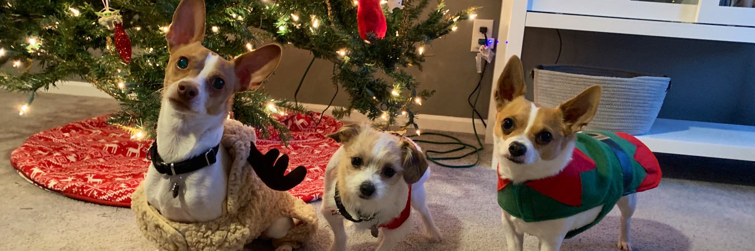 ashleymsbrown's profile banner image