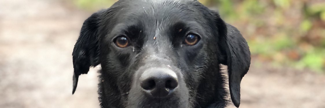 quoisey22's profile banner image