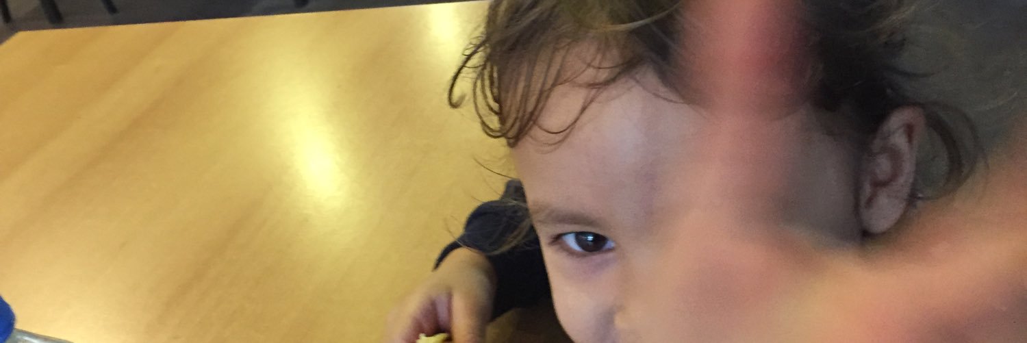 Little_Elyza's profile banner image