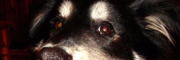 jimbasnight Profile Banner