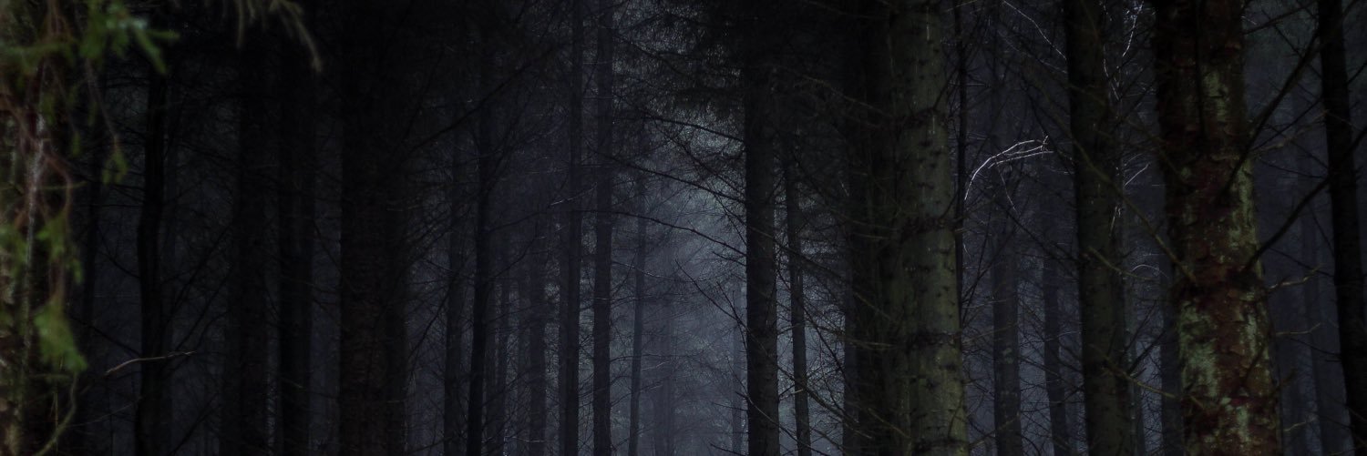 Phoenix24796's profile banner image