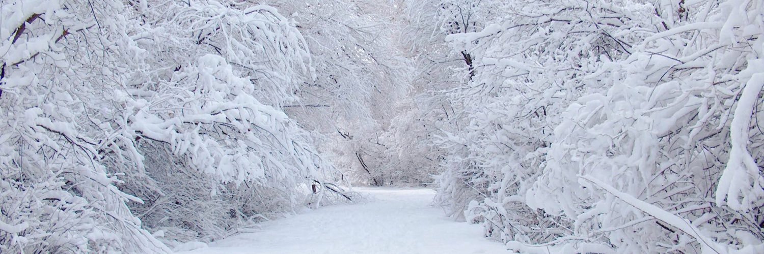 rpgalsk's profile banner image