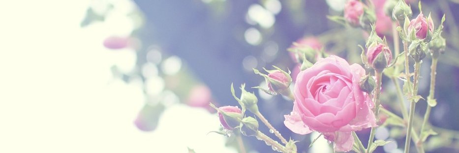Favostyle's profile banner image