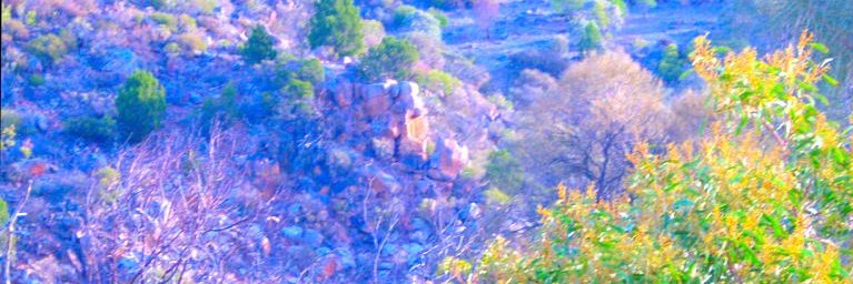 Sally_AnnJDodd's profile banner image