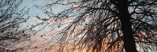 chelan_david Profile Banner