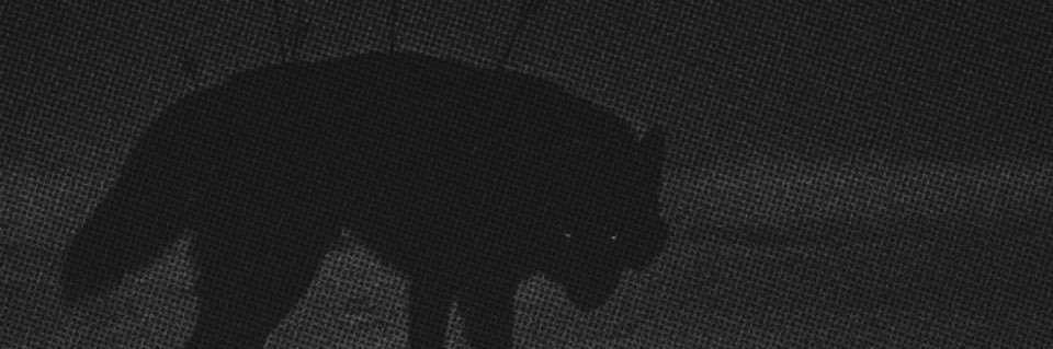 brandontee_'s profile banner image