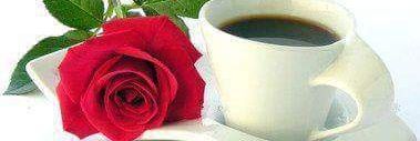isabelbeatriz08's profile banner image